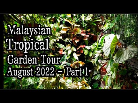 , title : 'Malaysian Tropical Garden Tour - August 2022 (Part 1)'