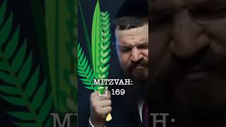 השייק הקדוש | DSH #58