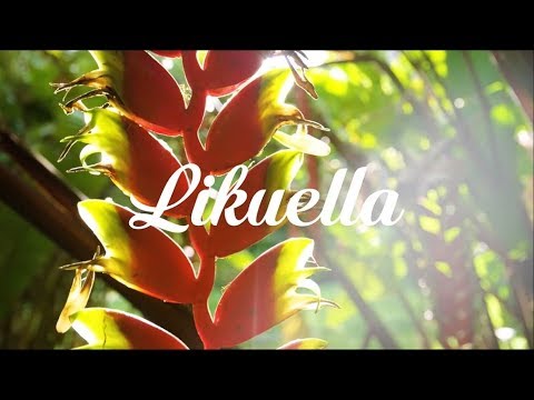 Rex - Orio (Mons Rsv Remix | Lyric Video)