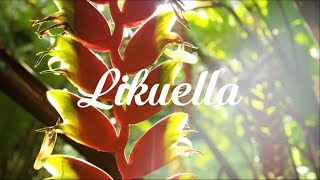 Rex - Orio (Mons Rsv Remix)