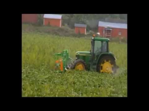 Weed control of weed beet - CombCut