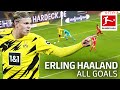 Erling Haaland - 27 Goals in Only 28 Games
