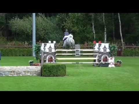 Anuschka, Clarimo-Casall, born 2008, Global Future Tour Valkenswaard July 2016, 1m45