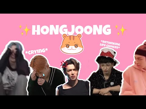 everything being hongjoongs biggest opp