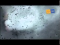 Spot Reklamowy Tak Tak