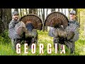 Opening Day DOUBLE Georgia TURKEY Hunt