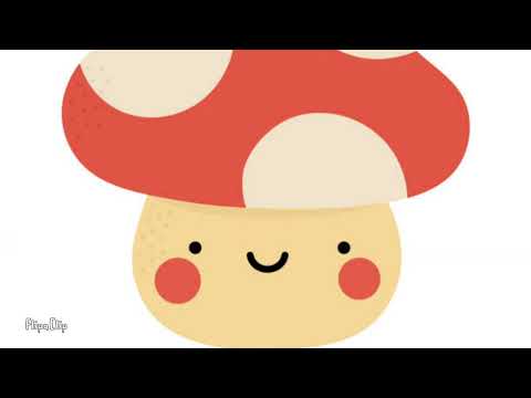 Introduction Video | Fungus 09