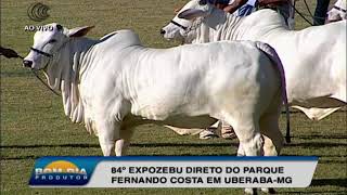 Miniatura do vídeo