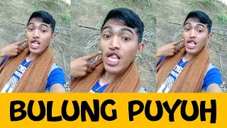 Download lagu BULUNG PUYUH - KANG SELEBEW mp3