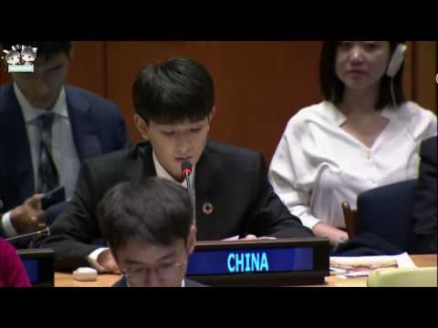 2017年 ECOSOCロイ・ワン (2017 ECOSOC Roy-Wang)