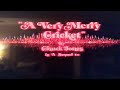 Closing To A Very Merry Cricket 1989 VHS