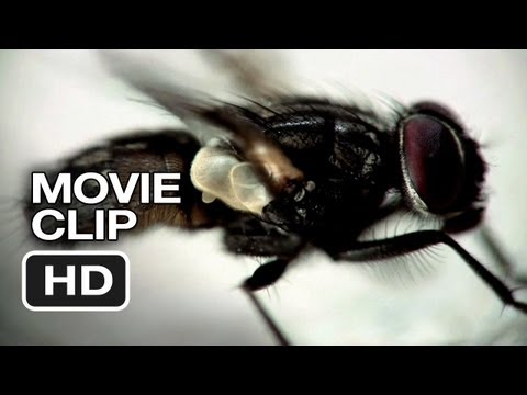 My Amityville Horror Movie CLIP #2 (2013) - Documentary HD