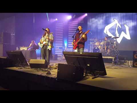 Cyril the Wolf Bronycon 2017 (live)