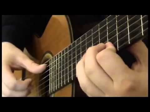 Russian seven-stringed guitar. Processing guitarist M.Vysotskij