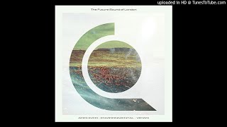 Future Sound Of London - Persistance Of Vision