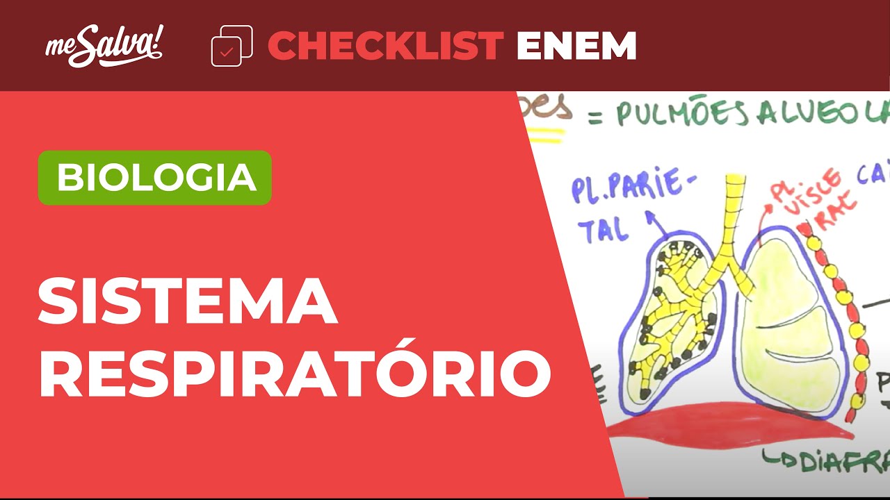 Fisiologia: Sistema Respiratório - Biologia | Checklist ENEM | Me Salva!