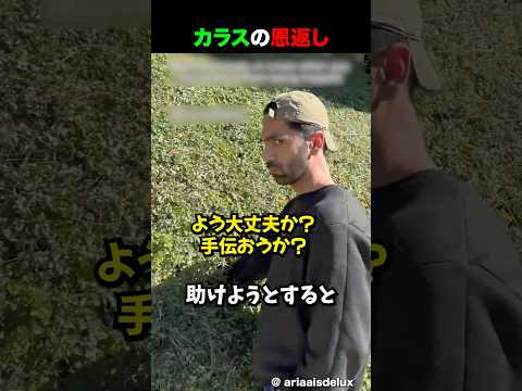 からすのおんがえし