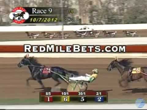 My MVP - 2012 Kentucky Futurity Second Heat