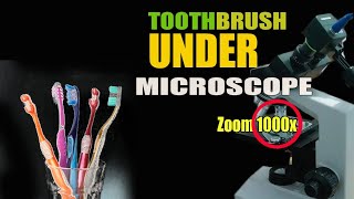 Download lagu ZOOM 1000x Tooth Brush Under Microscope | Sikat gigi Under Microscope mp3 Download lagu ZOOM 1000x Tooth Brush Under Microscope | Sikat gigi Under Microscope mp3