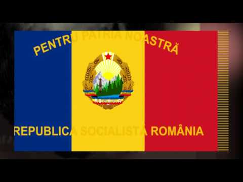 Chemarea Partidului (Republica Socialistă România)