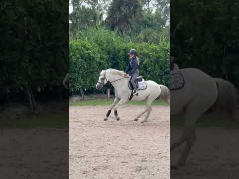 Pea Pod video 2