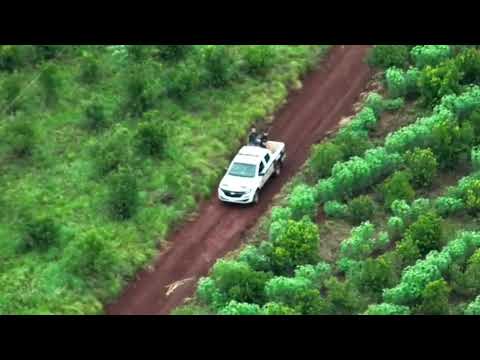 Drones Aéreos Refuerzan la Búsqueda de Hombre Desaparecido en San Ignacio 02