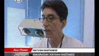 pet veteriner hastanesi