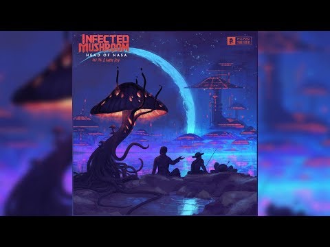 Infected Mushroom - Head of NASA and the 2 Amish Boys [FULL EP]