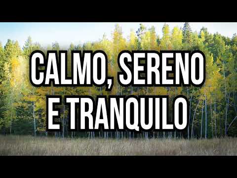 ♫ Calmo Sereno e Tranquilo | Grupo Elo | Fundo Musical Gospel para Orar | Cover | Som das Cordas