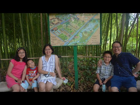 Claude Monet House & Garden, Giverny, France - Concerto No. 2 in G Major by Seitz