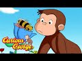 Where Does Honey Come From Curious George Kids Cartoon Kids Movies
