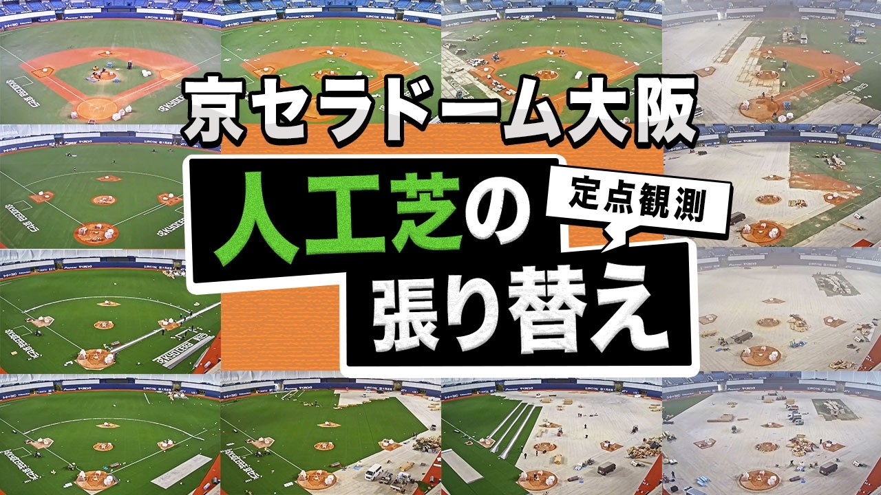 【定点観測】京セラドーム大阪 8年ぶりに人工芝が張り替わるまで！