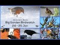 RSPB Big Garden Birdwatch - YouTube