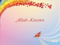 Zain Bhikha / Allah Knows / Flowers are Red 