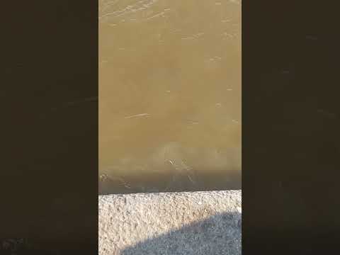 Mucha veda para  cuidar las especies en santa fe pero mientras tantos los afluente ?