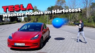 Tesla Wächter Modus (Sentry Mode) im Härtetest! - Mein armes Auto 😨 | Tips, Tricks &amp; More