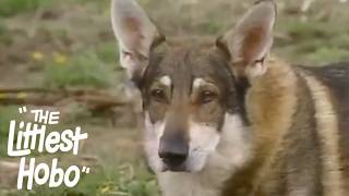 One Door Closes | The Littlest Hobo | Season 6 | Episode 5