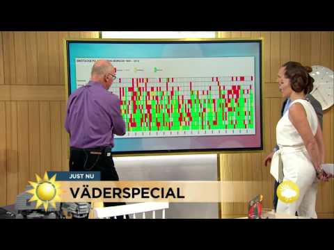 Så blir julvädret - Nyhetsmorgon (TV4)