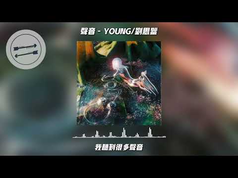 声音 - YOUNG/刘思鉴『我听到很多声音 我听到风和雨在伴奏』【動態歌詞】