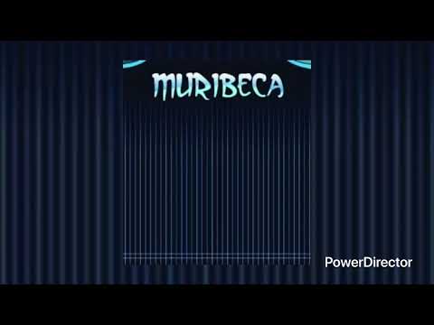 MC AGULA - RESPOSTA PRA MC FALSO E MC SLESHY (FUNK DE MURIBECA) DJ WJ