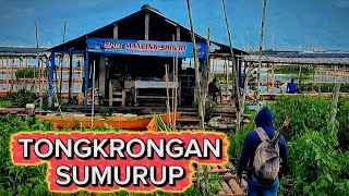 Download lagu Spot sumurup tuntang // mancing rawa pening terbaru mp3 Download lagu Spot sumurup tuntang // mancing rawa pening terbaru mp3