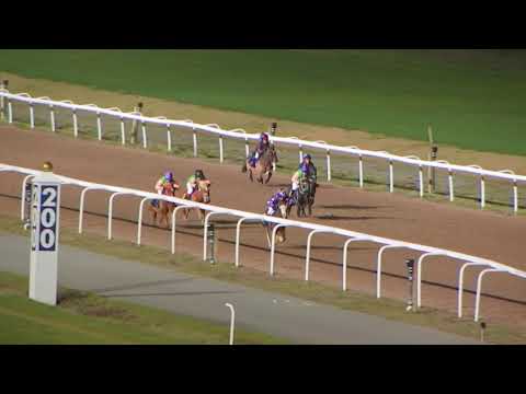 Lopp 5 27 Oktober 2019