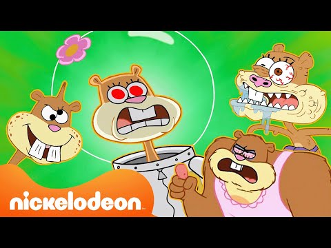 Губка Боб | 30-минутная подборка самых странных моментов с Сэнди! | Nickelodeon (Россия)
