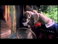 William Wegman The Hardly Boys