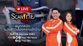 ฝนตกหนักระวังสัตว์เลื้อยคลานเข้าบ้าน | สแกนภัย | 19 มิ.ย. 67