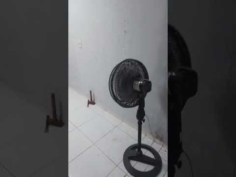 isso só  tem em Arcoverde Pernambuco