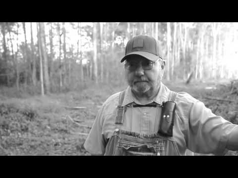 Lynyrd Skynyrd plane crash site draws a pilgrimage (video)