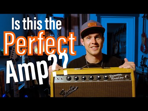 What's the Deal With the 12" Fender Princeton?