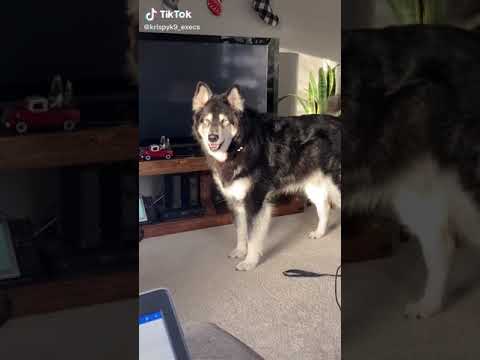 Youtube Video Youtube Video