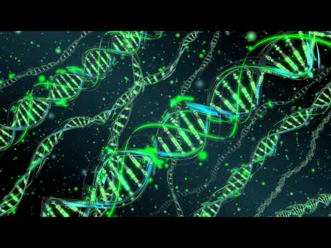 Paul Denton - Acid Reign